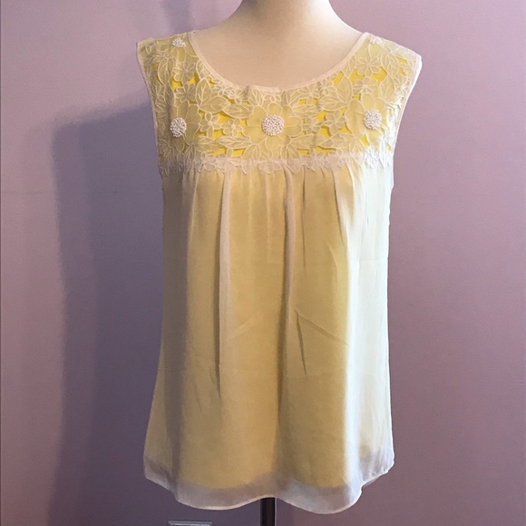 Ann Taylor Tops - Ann Taylor Embroidered Top with Silk Overlay